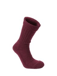 Craghoppers Womens/Ladies Wool Hiking Socks (Wildberry) - Wildberry