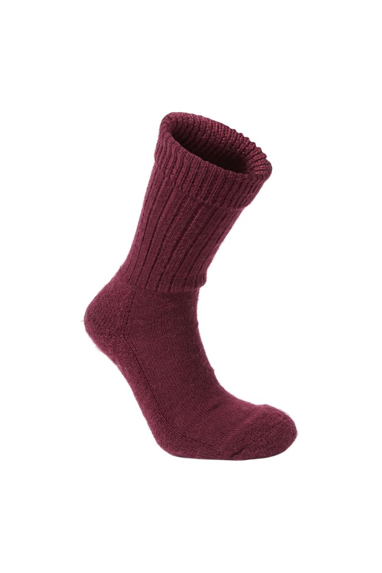 Craghoppers Womens/Ladies Wool Hiking Socks (Wildberry) - Wildberry