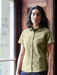 Womens/Ladies Expert Kiwi Short-Sleeved Shirt - Pebble Brown