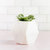 Geo White Stone Planter - WHITESMOKE