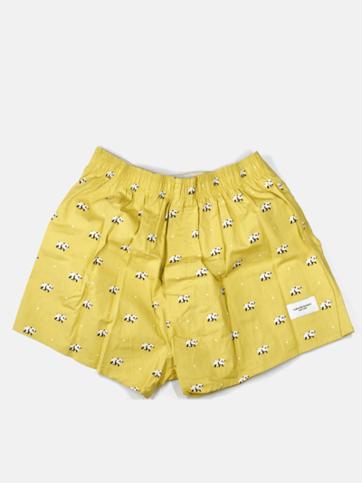 Curated Basics Panda Boxer product