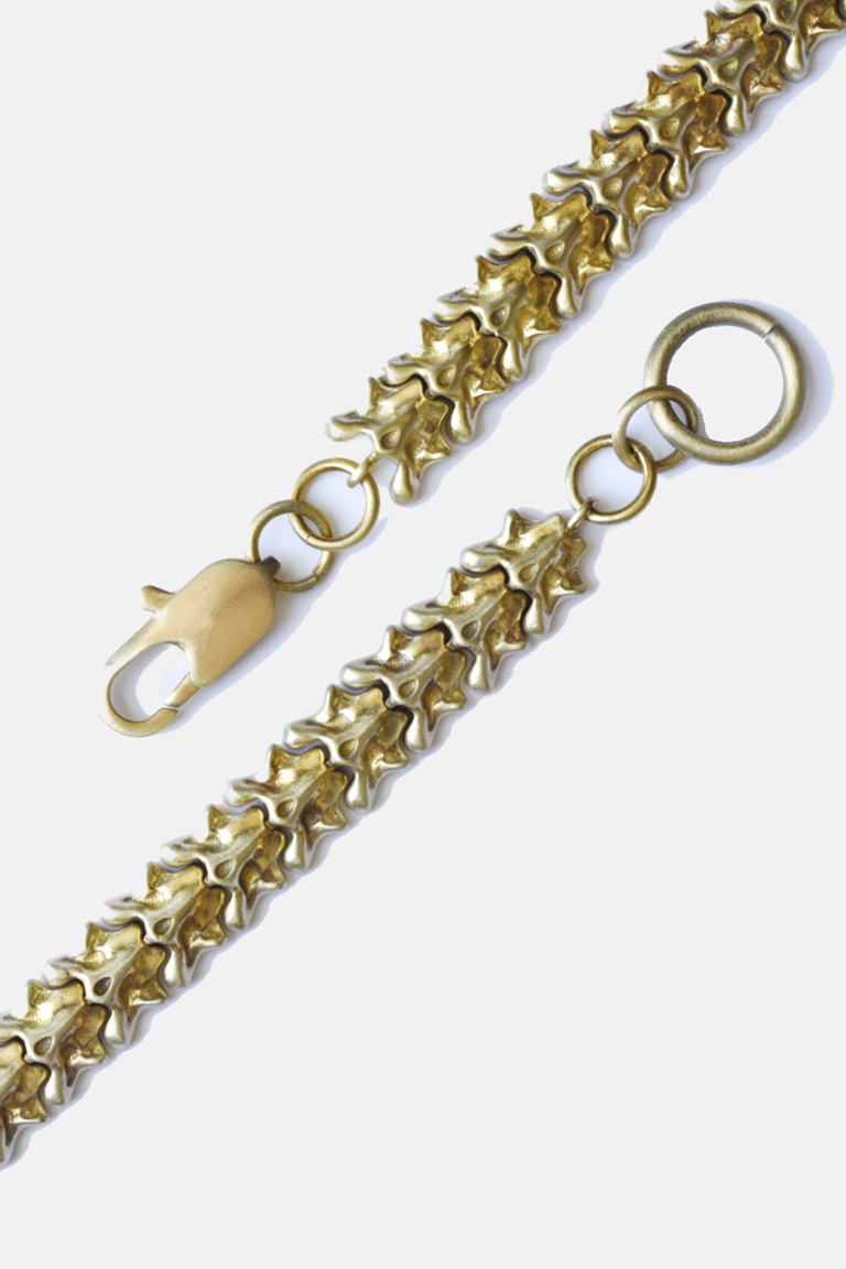 Vertebrate Brass Chain Bracelet