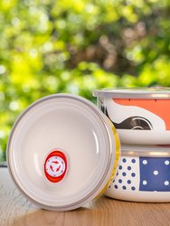 Flashback Enamel Food Storage Container