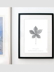 Horse Chestnut Leaf Art Print