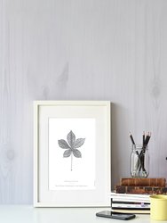 Horse Chestnut Leaf Art Print