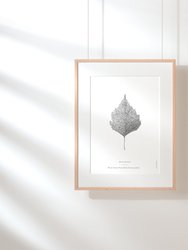 Nature Art Print Set