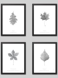 Nature Art Print Set - White