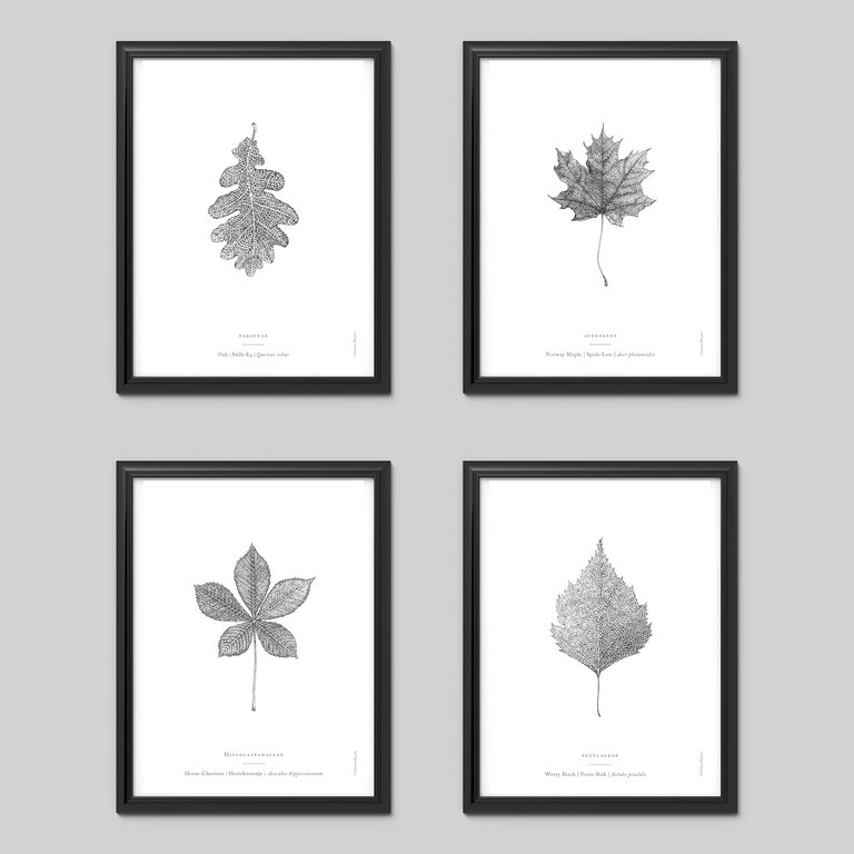 Nature Art Print Set - White