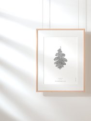 Nature Art Print Set