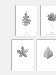 Nature Art Print Set