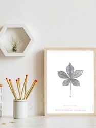 Nature Art Print Set