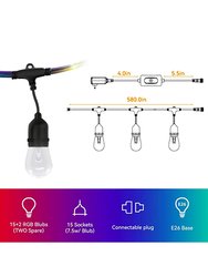 48 Foot Outdoor Dimmable RGB LED String Lights 15 Twinkle Bulbs