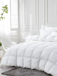 3IN1 Down Alternative Lightweight Duvet Insert