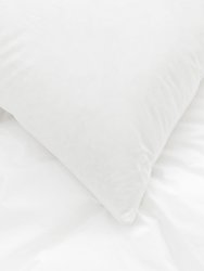 Down And Feather Organic Pillow Insert