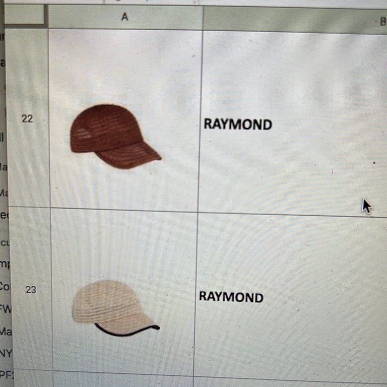 Raymond Hat - Camel