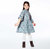 Long Sleeve Baby Corduroy Printed Dress