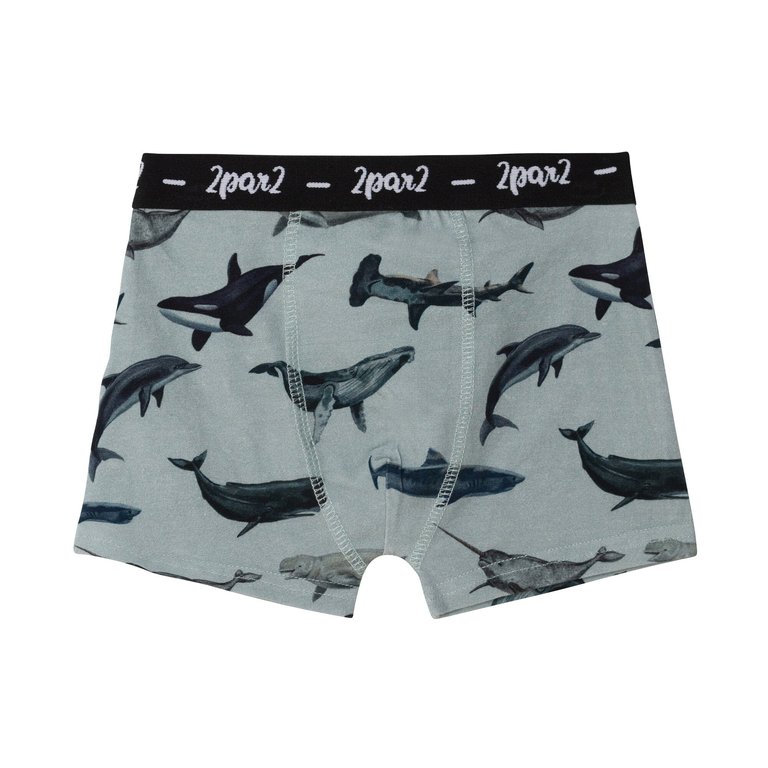 Printed Boxer Short Blue Sharks & Whales - Blue Sharks & Whales