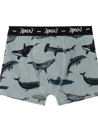 Deux Par Deux Printed Boxer Short Blue Sharks & Whales product