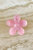 Oopsy Daisy Hair Claw Clip - Clear Pink - Clear Pink