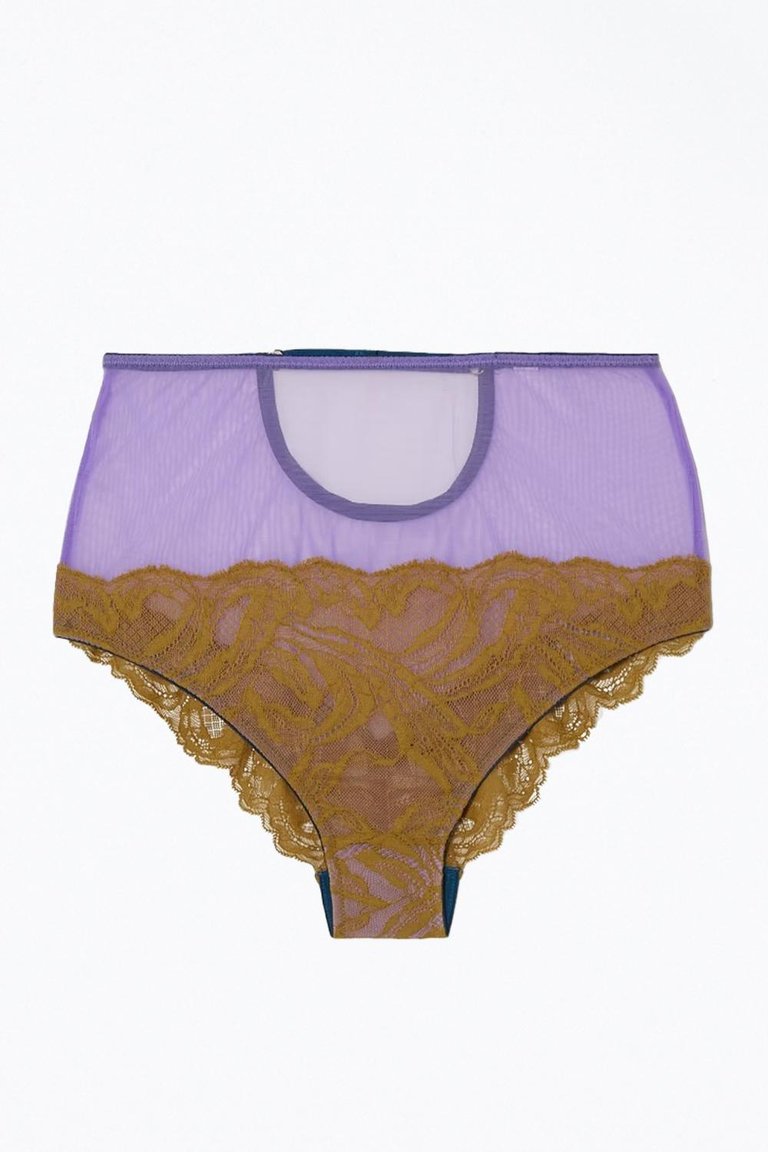 Karla Lace High Waist Knicker In Gold - Gold