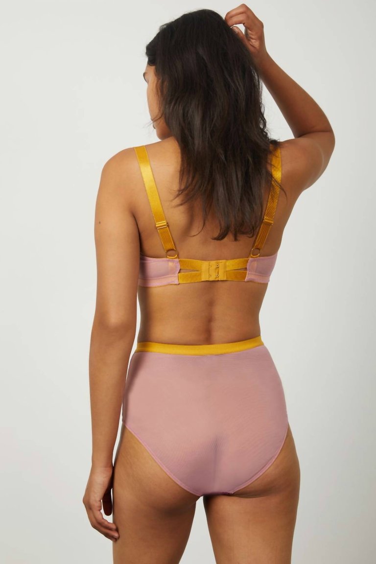 Megan High Waist Knicker In Oxblood/Mustard/Dusty Rose