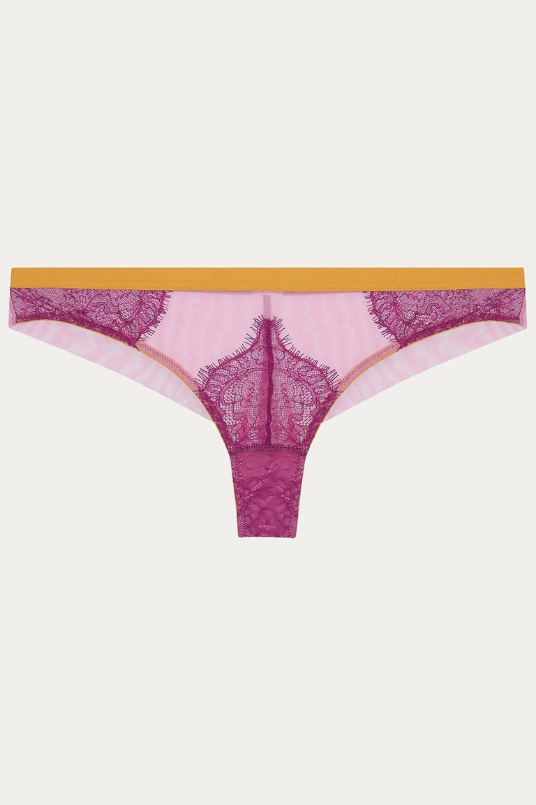 Megan Seamless Knicker In Oxblood/Mustard/Dusty Rose - Oxblood/Mustard/Dusty Rose