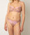 Nora Seamless Back Low Rise Knicker In Taupe/Orchid/Rose - Taupe/Orchid/Rose