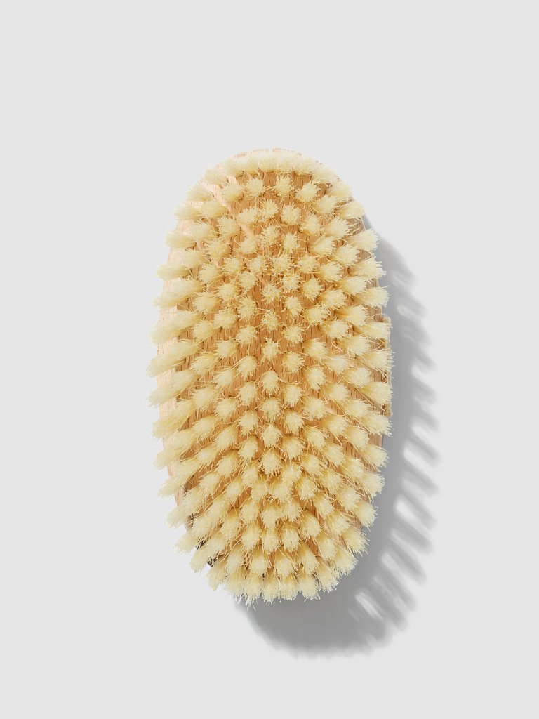 Body Brush (Medium)