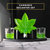 Cannabis Decanter