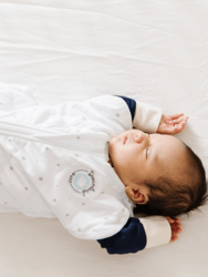 Dream Weighted Sleep Swaddle, 0-6 months - 2nd Gen