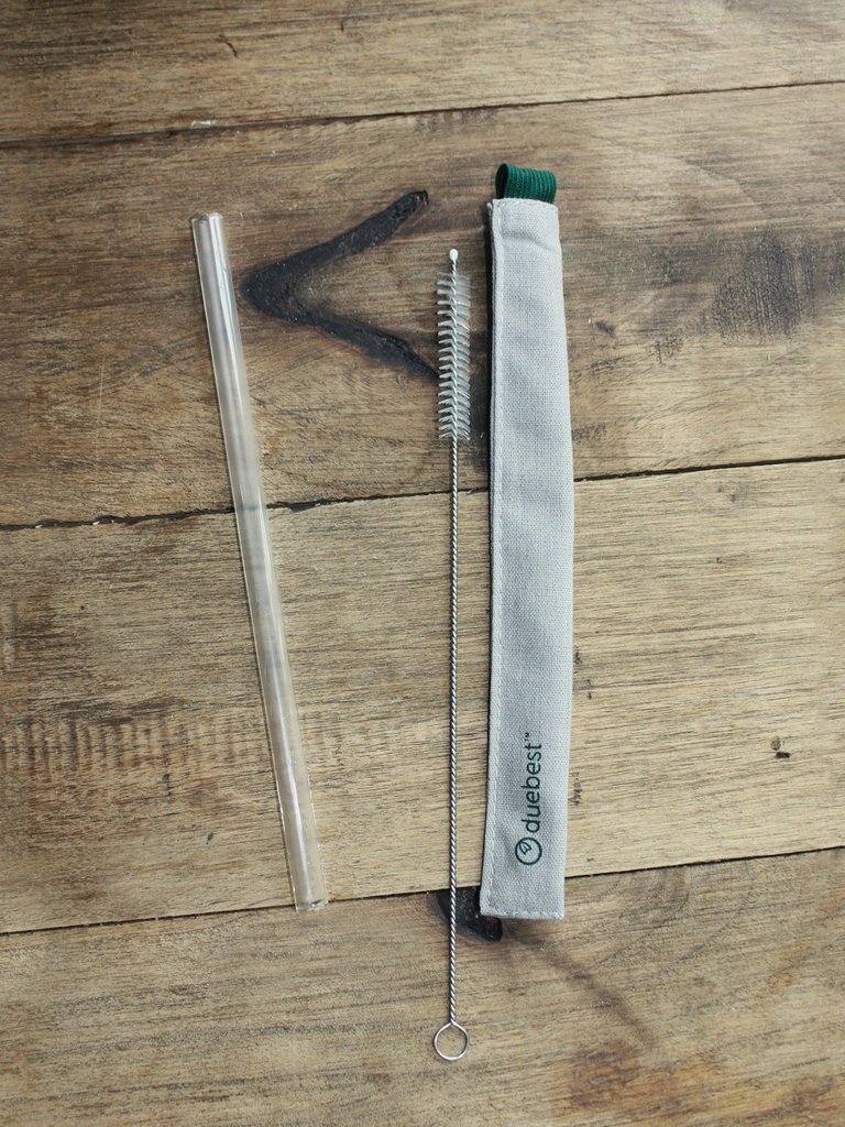 Reusable Glass Straw & Case Set