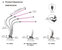 15.2 In. 10-Watt Black LED Grow Light, Color Changing Light With Single Head Adjustable Gooseneck Dual Chips