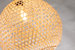 Lily 1-Light Beige Pendant Design Pendant Light With Globe Rattan Shade