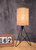 Mini Modern Table Lamp With Rattan Shade