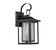 Pearl Textured Seedy Glass 1-Light Outdoor Lantern Sconce