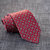 Empoli - Garnet Printed Silk Tie