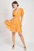 Ilianna Mini Dress - Orange