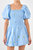 Smocked Dress With Balloon Sleeves