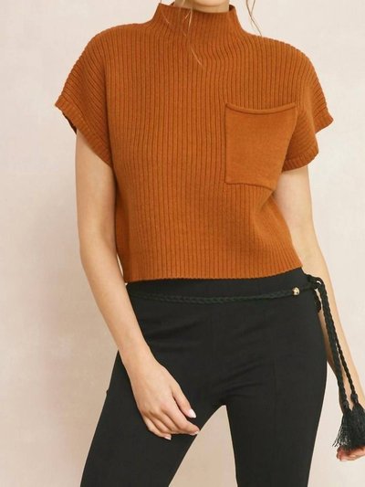 entro Mock Neck Knit Top product