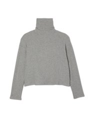 Knit Long Sleeve Crop Turtleneck Sweater
