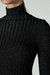 Lurex Sweater Rib Turtleneck - Black/Silver