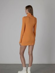 Sweater Knit Turtleneck Tunic/Mini