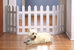 Folding White Picket Pet Gate