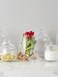 Dolce Jar, Medium