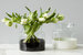 White Colorblock Flower Vase