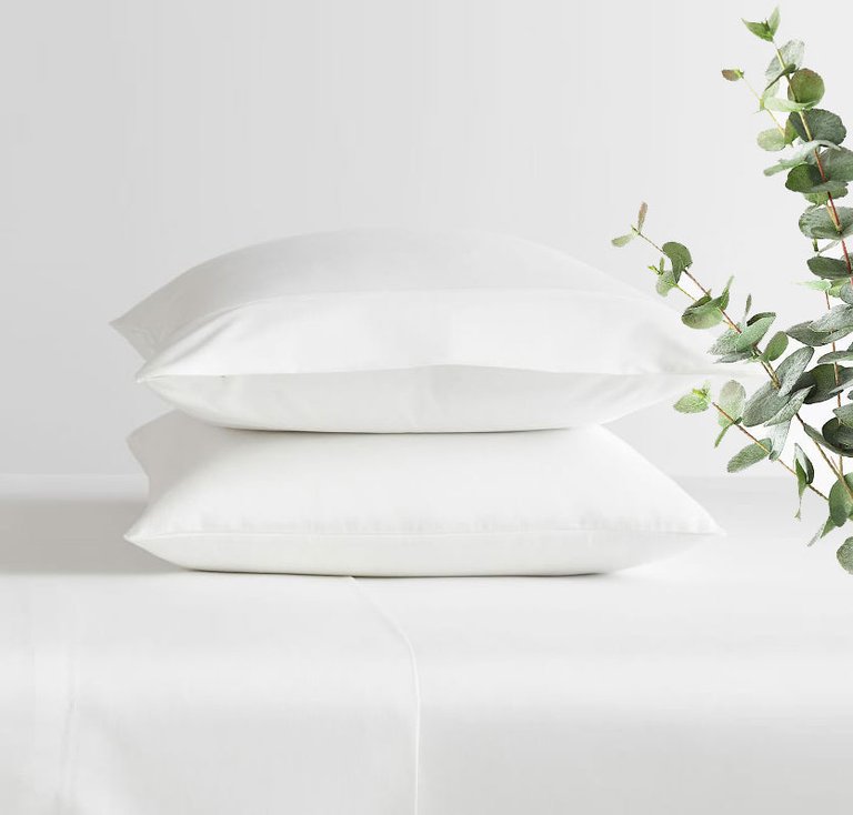 Eucalyptus Silk TENCEL Pillowcase Set - White