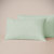 Eucalyptus Silk TENCEL Pillowcase Set - Spring Green