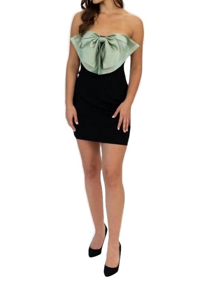 Bow - Tie Mini Dress