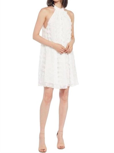 Eva Franco Halter Swing Mini Dress - White Petal product