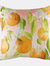 Evans Lichfield Fruit Oranges Throw Pillow Cover (Multicolored) (43cm x 43cm) - Multicolored